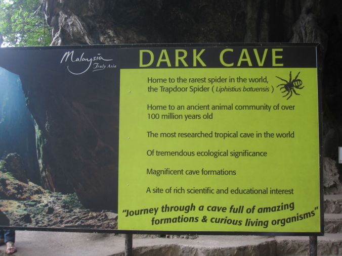 De mörka grottorna och "the trapdoor spider"! The dark caves and the trapdoor spider!