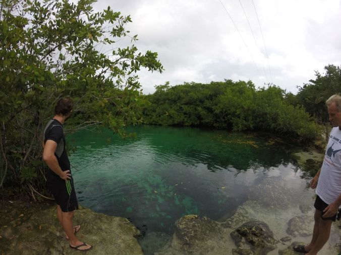 Vår dykplats för dagen, Casa Cenote! Our diving spot for the day, Casa Cenote!