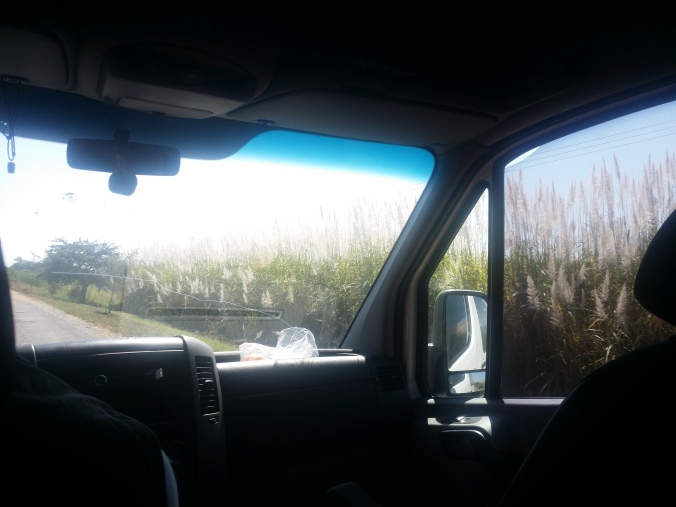 Vi fick för första gången uppleva den mexikanska landsbygden i dagljus genom fönstren på vår bil som skulle ta oss nära gränsen till Guatemala! We got to experience the Mexican countryside in the daylight for the first time through the windows of our car, that would take us near the border with Guatemala!